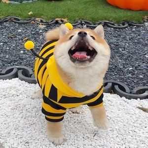 Nouveau sweat-shirt amusant pour animaux de compagnie, anti-chute, motif petite abeille, pour chiens <span class=keywords><strong>Beagle</strong></span> et petits chats bleus adorables, collection printemps-automne - Product Image 2