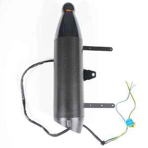 Scooter Mangosteen 4000W M1PS, audio personnalisé, flamme, accessoires et pièces détachées pour scooter Citycoco 2000W M1P - Product Image 1