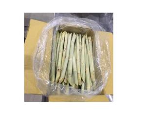 Zumo de caña de azúcar VIET NAM - Product Image 1