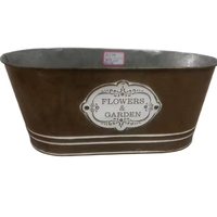Jardinière succulente rustique ovale pots de fleurs et jardinières pot de plantes en étain de jardin de style français bon marché pour décoration intérieure et extérieure