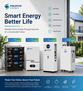 แบตเตอรี่สำรองพลังงาน Propow Energy 51.2V 314Ah 16kWh สำหรับบ้านพักอาศัย แบบตั้งพื้น สำหรับเก็บพลังงานแสงอาทิตย์ - Product Image 1