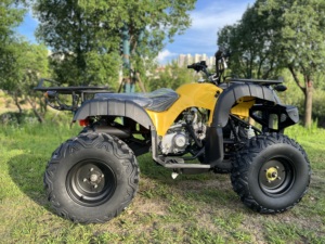 <span class=keywords><strong>Quad</strong></span> 150cc 4 temps refroidi par air, excellent rapport qualité-prix, véhicule tout-terrain abordable pour adolescents - Product Image 2