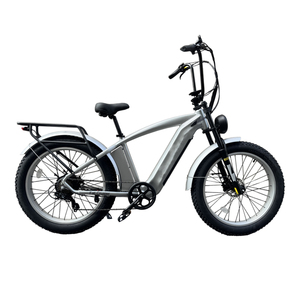 Tricycle Électrique Adulte avec Side-car, Vélo Électrique à 3 Roues 750W, Batterie Lithium Cachée, E-trike Sidecar CITY 6 Vitesses Ouka pour Livraison Familiale - Product Image 5