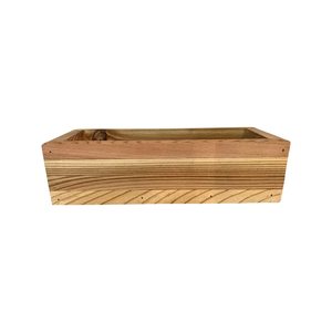 Kit de culture intérieure ornementale avec mélangeur d'herbe Bol pour chat Herbe pour plantes en <span class=keywords><strong>pot</strong></span> pour la maison Jardin ou <span class=keywords><strong>Pot</strong></span> de fleur en forme de chien - Product Image 6