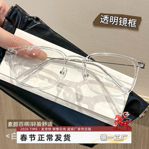 Montura de Gafas Transparentes Retro para Mujer, Rectangulares, Montura Completa, Material TR 85006, Origen Danyang - Product Image 5