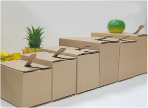 Scatole in Cartone Goffrato Super Resistenti con Cerniera per Imballaggio Cosmetico, E-commerce e Spedizioni Express - Product Image 4