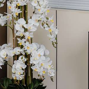 Plantes d'orchidées Phalaenopsis artificielles sur mesure en pots de grande taille avec tiges de fleurs, fabricants en gros - Product Image 4