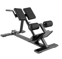 Équipement de fitness commercial en métal – Banc de musculation robuste et écologique pour l'entraînement du bas du dos