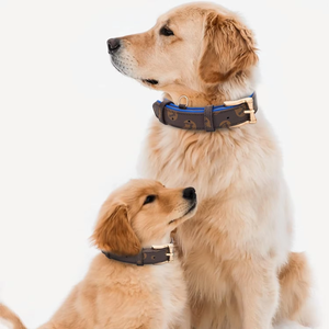 <span class=keywords><strong>Collar</strong></span> para Perro de Cuero Genuino, Clásico, Acolchado y Suave, Colores Personalizados, Venta Directa de Fábrica NiBao - Product Image 6