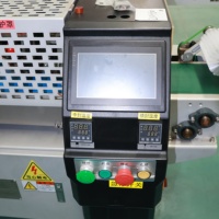Machine d'emballage horizontale automatique à film continu pour lignes de production alimentaire et de snacks