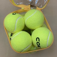 Pelotas de Tenis de Entrenamiento Profesional, Fieltro de Lana, Alto Rebote, Pelotas de Práctica Duraderas para Partidos en Cancha