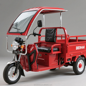รถสามล้อบรรทุกผลไม้ราคาดี - Product Image 1