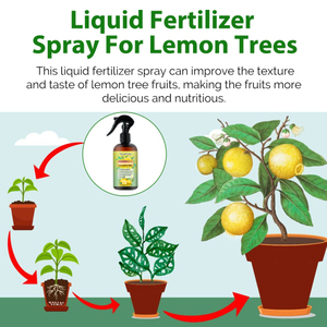 MoonSpry Premium 3-1-2 <span class=keywords><strong>Engrais</strong></span> liquide en spray pour les arbres <span class=keywords><strong>Citronnier</strong></span> Racine Promotion Feuille verte Concentré - Product Image 2