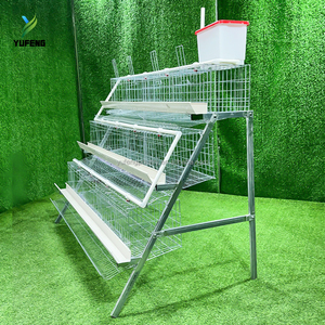 Sistema de Jaulas para Gallinas Ponedoras Tipo <span class=keywords><strong>A</strong></span>, Jaulas Automáticas de 3-4 Niveles para 10000 Aves, Crí<span class=keywords><strong>a</strong></span> de Aves de Corral - Product Image 3