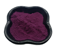 Hoogwaardig natuurlijk voedingsmiddelkwaliteit 5%-25% Anthocyanen Blauwe Bes Fruit Sap Blauwe Bes Extract Poeder
