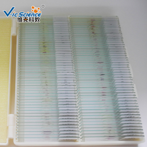 高品質100枚入り動物組織標本スライド　大学用組織学顕微鏡プレパラート - Product Image 1