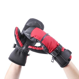 Gants de sports de plein air de haute qualité à bas prix OEM ODM acceptés gants de ski en peau de chèvre pour dames - Product Image 1