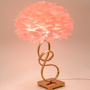 Lampe de table en plumes simple de style nordique, salon, chambre à coucher, café, librairie, bureau, hôtel, éclairage d'intérieur moderne, lampe de bureau - Product Image 2