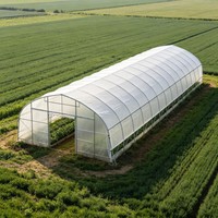 Serre tunnel simple de 8 x 30 m pour tomates, fabriquée en Chine, à vendre