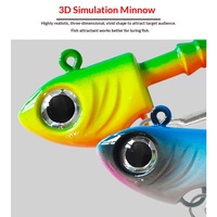 Tête de jig lumineuse UV avec appât souple, combo 10g-40g, poids lourd, pour la pêche en mer au bar, en bateau, en haute mer