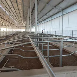 Cubículos de vaca Galvanizado por inmersión en caliente Uso en granja de ganado Doble cabeza a cabeza Cubículos de ganado de puesto libre