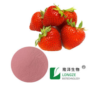 Poudre de fruits à base de plantes sauvages d'extrait de fraise de polyphénol 10% biologique dans un emballage de tambour vente chaude - Product Image 4