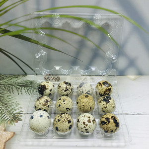 Disposable plastic egg tray quail egg packing cartons 12 holes Quail egg box