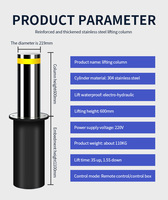 Bollards hydrauliques automatiques de levage électrique de sécurité en acier inoxydable 304, prix de levage automatique, télécommande, stationnement en extérieur