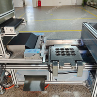 Machine de formage de masques oculaires en cristal vert industriel, ligne de production automatique de patchs oculaires en hydrogel de haute précision pour les cosmétiques