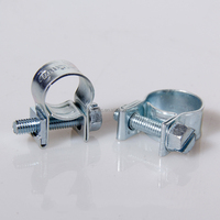 Colliers de serrage pour tuyau de carburant en acier galvanisé robuste de 6 mm à 28 mm, style mini métrique, pour les lignes d'eau de lavage de voiture
