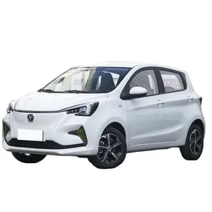पदोन्नति कीमत 2020 Changan Benben Estar बिजली के मिनी कार उच्च प्रदर्शन के लिए अच्छी गुणवत्ता वयस्क