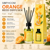 Diffuseur de parfum d'ambiance 100 ml, cartons de senteurs variées pour les acheteurs de supermarchés et les distributeurs de décoration intérieure