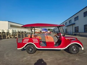 Véhicule électrique de tourisme de style rétro — Équipé d'un moteur de 5 kW et d'une batterie au lithium ; Idéal pour les hôtels de villégiature et les plages - Product Image 5