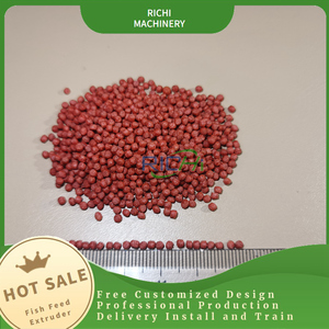 Máquina de fabricación de alimentos para peces, fabricante RICHI, 5000-6000 KG/H, flotante - Product Image 6