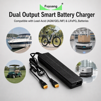 Chargeur de batterie intelligent personnalisé 160W à double sortie pour Li-ion, LiFePO4 et plomb-acide 12V-108V 2A 3A 4A 5A pour applications marines, véhicules électriques et industrielles