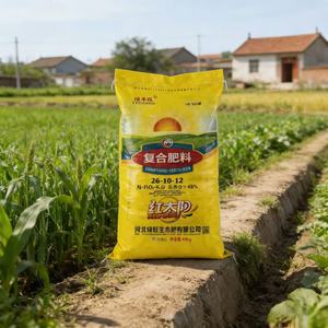 <span class=keywords><strong>Sac</strong></span> tissé <span class=keywords><strong>en</strong></span> PP de haute qualité de 10 kg avec doublure <span class=keywords><strong>en</strong></span> PE, imprimé sur mesure, pour emballage chimique, directement de l'usine d'emballage d'engrais - Product Image 4