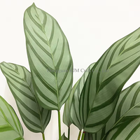 Plante artificielle de pétiruier de 110 cm, haute simulation, plante bonsaï artificielle, fausse plante de pétiruier pour la décoration intérieure de la maison et du bureau