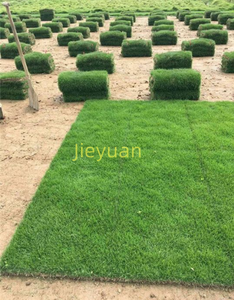 <span class=keywords><strong>Tondeuse</strong></span> à gazon avec découpeur Débroussailleuses pour pelouse Débroussailleuse pour pelouse - Product Image 6