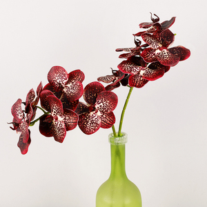 Nuevo tipo de flor artificial sola orquídea EVA Real Touch 5 cabezas <span class=keywords><strong>Vanda</strong></span> orquídea Phalaenopsis interior hogar boda decoración flores - Product Image 5