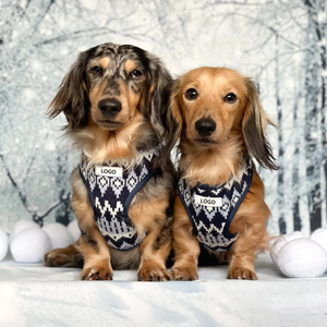 VPETBR-Arnés ajustable de neopreno personalizable para mascotas, conjunto de arnés de Cuello acolchado suave para mascotas - Product Image 5