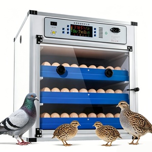 Incubadora <span class=keywords><strong>de</strong></span> Huevos 204, Totalmente Automática, para Huevos <span class=keywords><strong>de</strong></span> Gallina, Incubadora <span class=keywords><strong>de</strong></span> Huevos con Doble Alimentación - Product Image 1