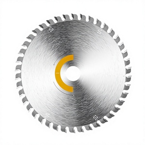 FESTOOL 205553 Lama per Sega a Denti Fini HW 160mm 1.8mm WD42 15° Angolo di Rilievo in Acciaio Duro Saldato ad Alta Frequenza per Legno - Product Image 1