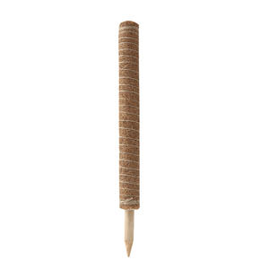 40cm tige <span class=keywords><strong>de</strong></span> mousse <span class=keywords><strong>de</strong></span> cocotier fibre <span class=keywords><strong>de</strong></span> <span class=keywords><strong>coco</strong></span> bâton <span class=keywords><strong>de</strong></span> canne <span class=keywords><strong>à</strong></span> grimper dos <span class=keywords><strong>de</strong></span> tortue soutien <span class=keywords><strong>de</strong></span> <span class=keywords><strong>la</strong></span> croissance des plantes pôle <span class=keywords><strong>de</strong></span> mousse bâton <span class=keywords><strong>de</strong></span> <span class=keywords><strong>coco</strong></span> - Product Image 5