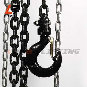 Polipasto manual de cadena de <span class=keywords><strong>3</strong></span> <span class=keywords><strong>toneladas</strong></span> con ganchos de cadena de acero forjado G80 y piñones mecánicos - Product Image 6