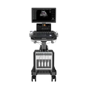 Machine à ultrasons doppler de couleur à chariot haut de gamme, machine à ultrasons d'instruments médicaux à ultrasons daei DW-T3