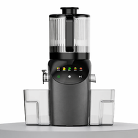 Brenda Electric Slow Pressed Juicer Komersial Mini Portabel Penggiling Buah Dapur dengan Kapasitas 3L Motor DC Ramah Lingkungan