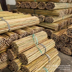 Varas <span class=keywords><strong>de</strong></span> Bambú Natural Decorativas Anticorrosivas para Renovación <span class=keywords><strong>de</strong></span> Parques, Casas <span class=keywords><strong>de</strong></span> Huéspedes y Jardines - Venta al por Mayor - Product Image 3