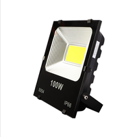 Projecteur LED extérieur IP 66 50W avec réflecteur à écailles de poisson