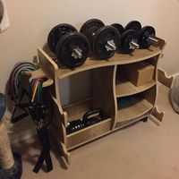 Armoire de rangement pliable à trois niveaux pour haltères en contreplaqué de 18 mm, structure démontable, support d'équipement pour culturistes, conception flexible