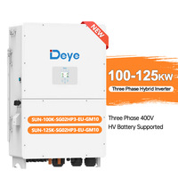Système d'énergie solaire hybride Deye 100kw 125kw, onduleur, 150kw 200kw 300kw 500kw, triphasé 400v, système de panneaux solaires avec batterie